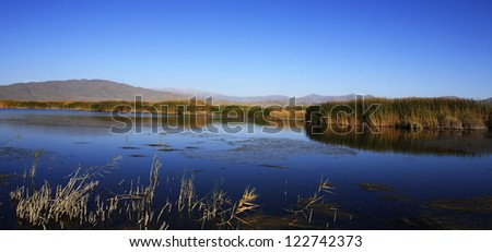 reed lake view in North West China