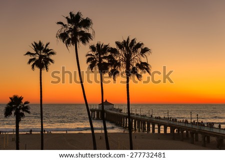 Palm trees over the Manhattan Beach and Pier on sunset in Southern California in Los Angeles.