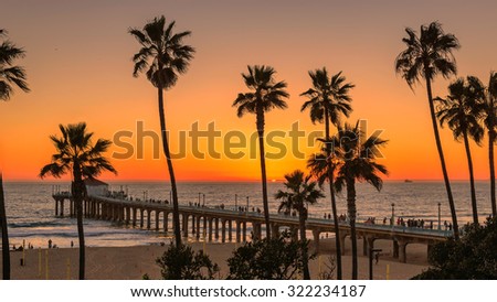 Palm trees on Manhattan Beach  at orange sunset and Pier in California, Los Angeles, USA.