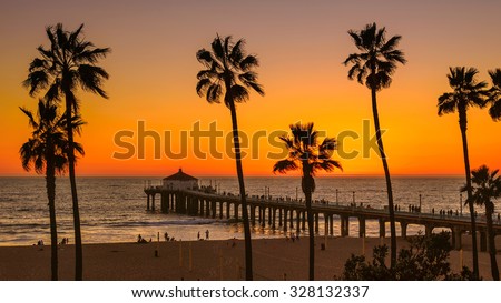 Palm trees on Manhattan Beach at sunset, Los Angeles