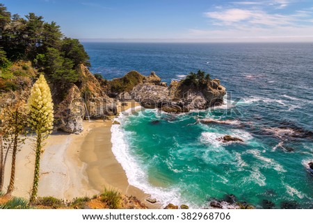 Wild beach on the California coast