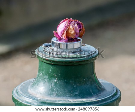 A dried pink rose sits on top of a green structure in a cemetery in Paris France.
