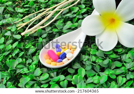 Close up many colorful medicine tablet on the spoon with white flower and dried tree branch on green grass background