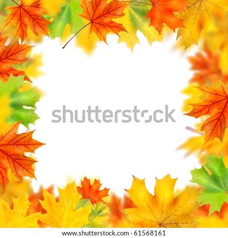 frame from autumn leaves isolated on white