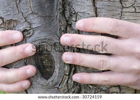 Nature lover's hands around a tree trunk.