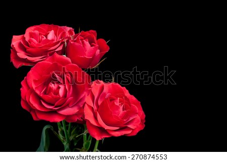 Floral background, bouquet of beautiful red roses on black, wallpaper, greeting card with space for text