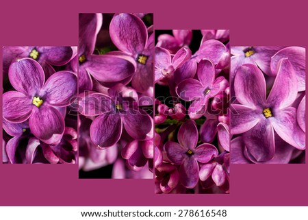 Floral background, collage, wallpaper. Lilac flowers on deep violet, pink texture with soft focus. Interior design decoration, four set artistic picture.