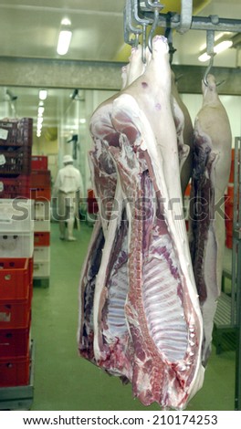 Slaughterhouse workers in the refrigerator, June 14, 2006 in a meat factory,Sofia, Bulgaria.