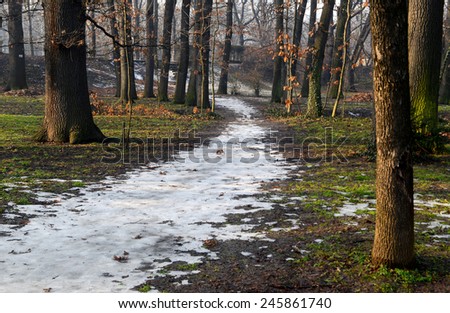 path covered with snow in a forest in spring