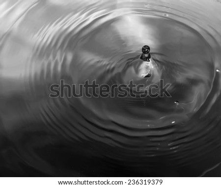 Water drop close up,The ripple of the water,Black and white concept.