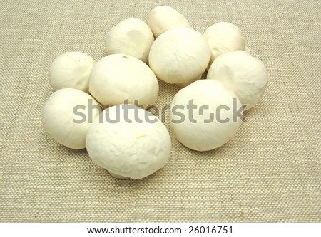 White  mushrooms on a beige table cloth