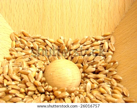 Filled  flour mill with grains to be ground