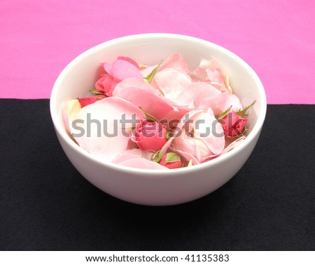Rose buds and petals on pink and black background