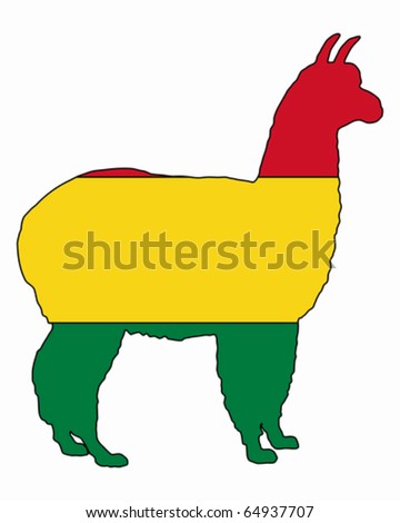 Bolivian Alpaca