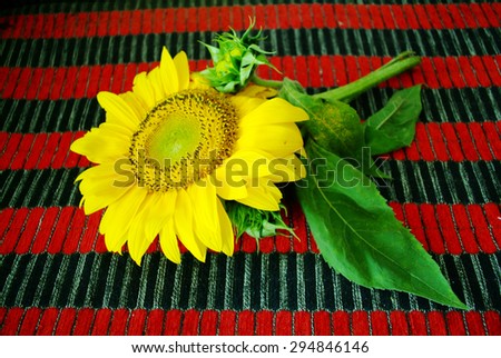 Sunflower on red vintage background