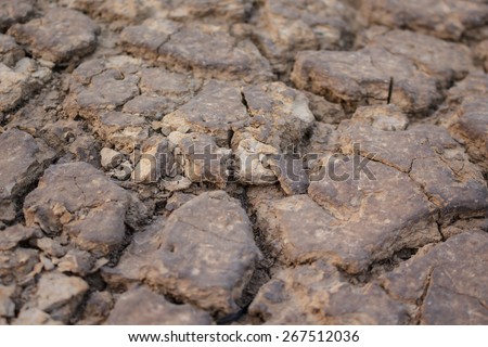 arid ground fissure no water warming