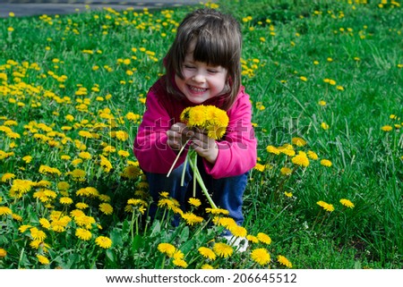 girl, 3 years old, sitting in the grass with dandelions in hands.