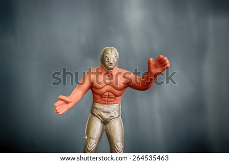Wrestler\
Photograph of a toy masked mexican wrestler