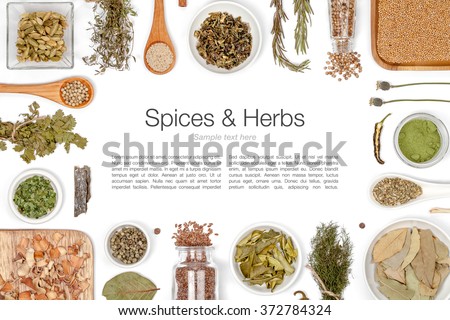 various spices and herbs on white background with copy space. flat lay frame composition top view