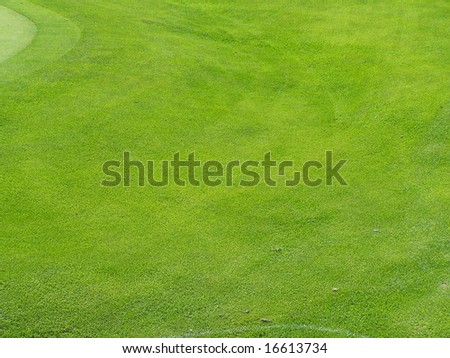 Golf field green grass meadow background