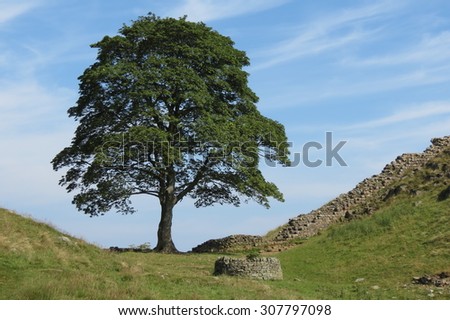 Sycamore Gap on Hadrian\'s wall in the Northumberland National Park
