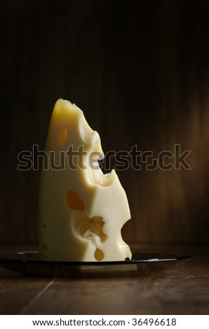 Cheese. The big piece of cheese on a dark background