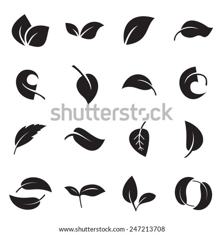Icons of leaves. Vector illustration