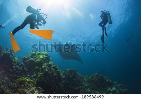 Diving with Manta