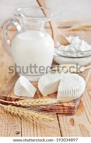 Milk, tzfat cheese and cottage cheese with wheat grains. Symbols of judaic holiday Shavuot. Selective focus.