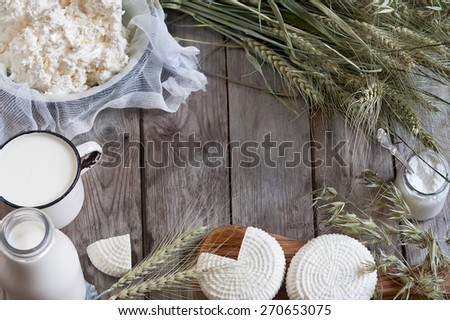 Tzfat cheese, milk, cottage cheese, wheat and oat grains on old wooden background. Concept of judaic holiday Shavuot.