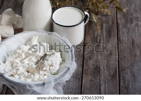 Tzfat cheese, milk, cottage cheese, wheat and oat grains on old wooden background. Concept of judaic holiday Shavuot.