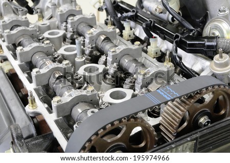 Cylinder head of an automobile engine