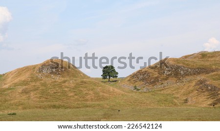 View of the famous Sycamore Gap in the Peel Crags on the route of Hadrian\'s Wall in Northumberland, England. Made famous in the Hollywood film \'Robin Hood Prince of Thieves\', starring Kevin Costner.