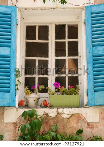 Blue shutters and window with plastic robins and window box on ledge.