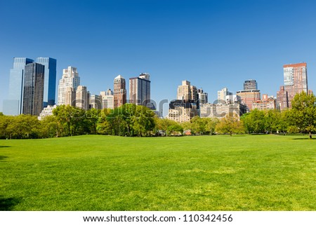 Central Park At Sunny Day, New York City