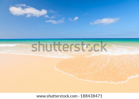 Beautiful ocean beach on Canary islands