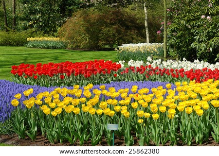 bed in Keukenhof gardens,