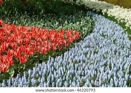 Spring flower bed