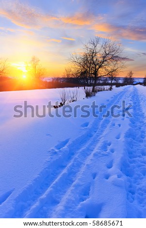 Beautiful winter sunset in countryside