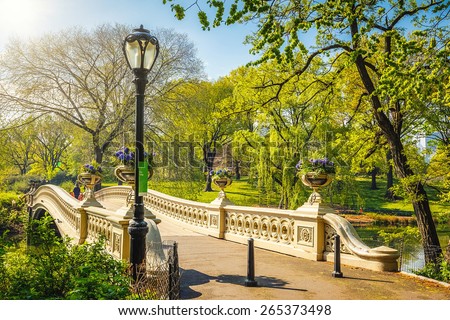 Bow bridge in Central park at sunny day, New York City