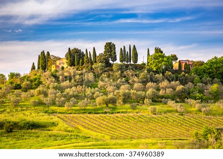Beautiful tuscany landscape at spring , Italy