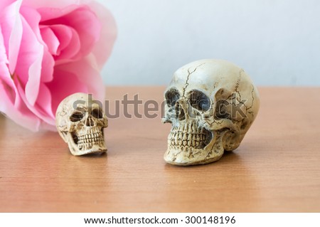 Old small human skull with pink rose on wood background