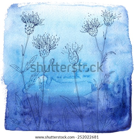 Watercolor background with beautiful color painted flowers and herbs. Colored flowers and herbs, hand-painted line. Blue background with flowers. Thistle