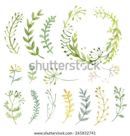 Set of flowers painted in watercolor on white paper. Sketch of flowers and herbs. Wreath, garland of flowers. Vector watercolor