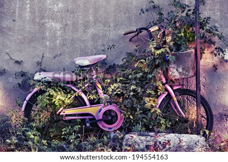bicycle in creeping plant and dramatic light