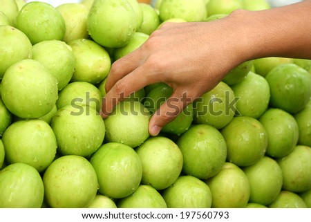 hand pick fresh monkey apple fruit background