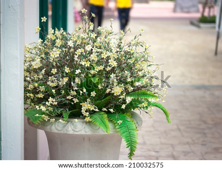 flowers in a pot, garden decoration ideas