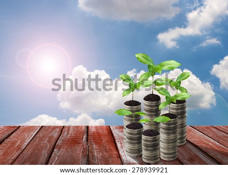 Stack of silver coin and small plant concept growth