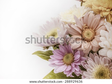 Colorful flower bouquet arrangement in vase isolated on white background - vintage effect filter