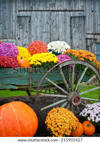 Colorful fall flowers and pumpkins in old antique wagon against a barn background vertical.
